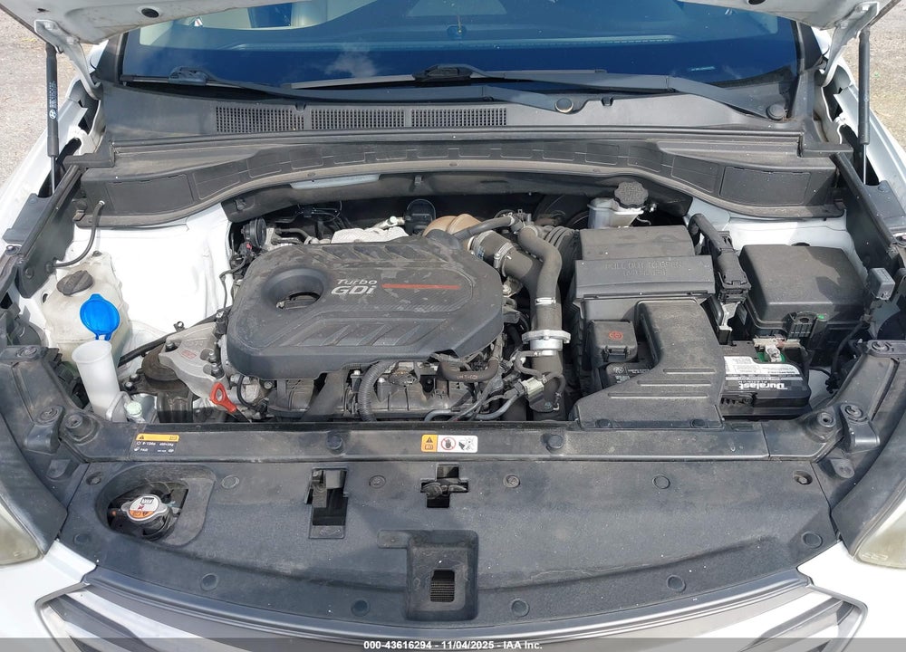 2017 HYUNDAI SANTA FE VIN: 5XYZW4LA0HG495694