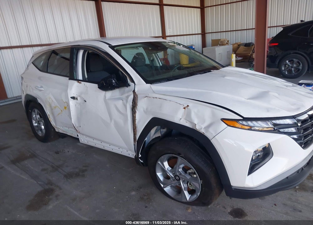 2024 HYUNDAI TUCSON SE VIN: 5NMJA3DE4RH438249