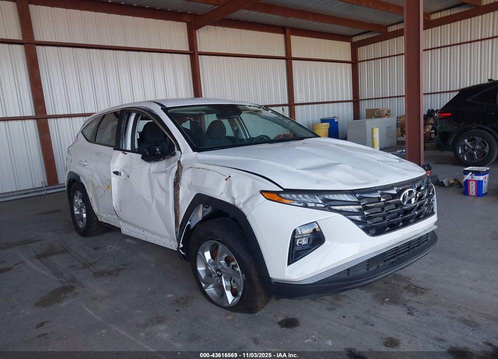 2024 HYUNDAI TUCSON SE VIN: 5NMJA3DE4RH438249