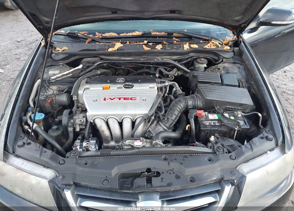 2004 ACURA TSX VIN: JH4CL96924C032031