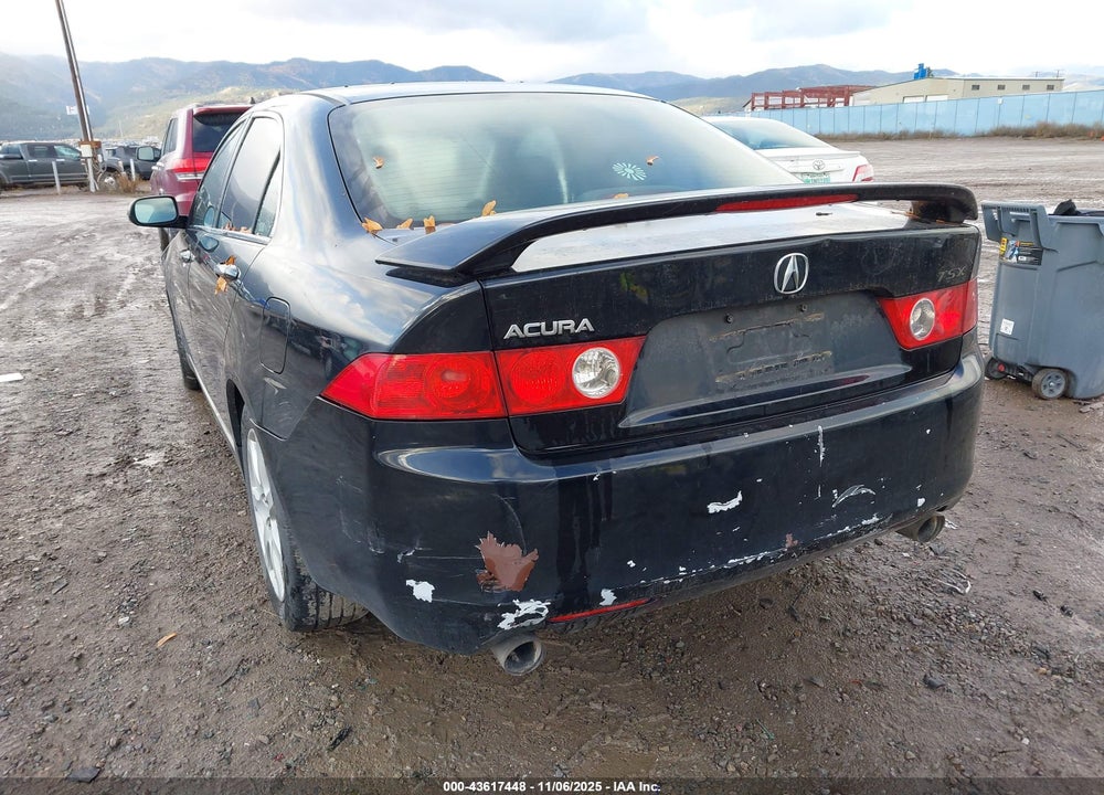 2004 ACURA TSX VIN: JH4CL96924C032031