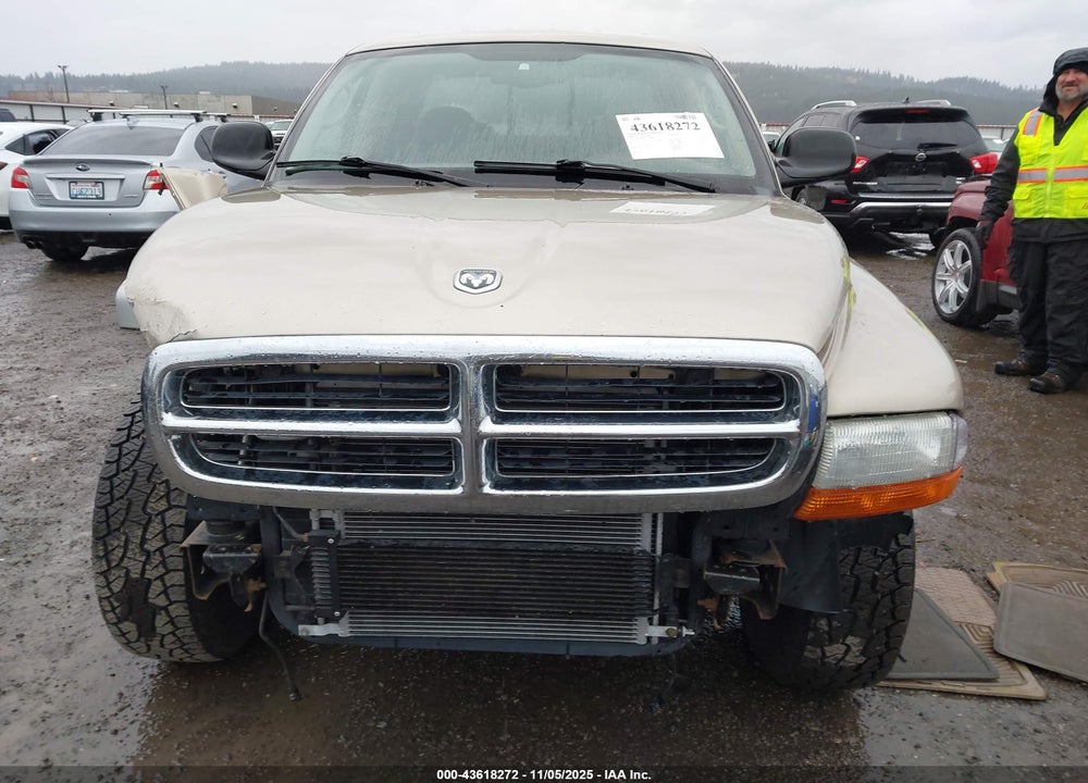2002 DODGE DAKOTA SLT VIN: 1B7HG48N22S552578