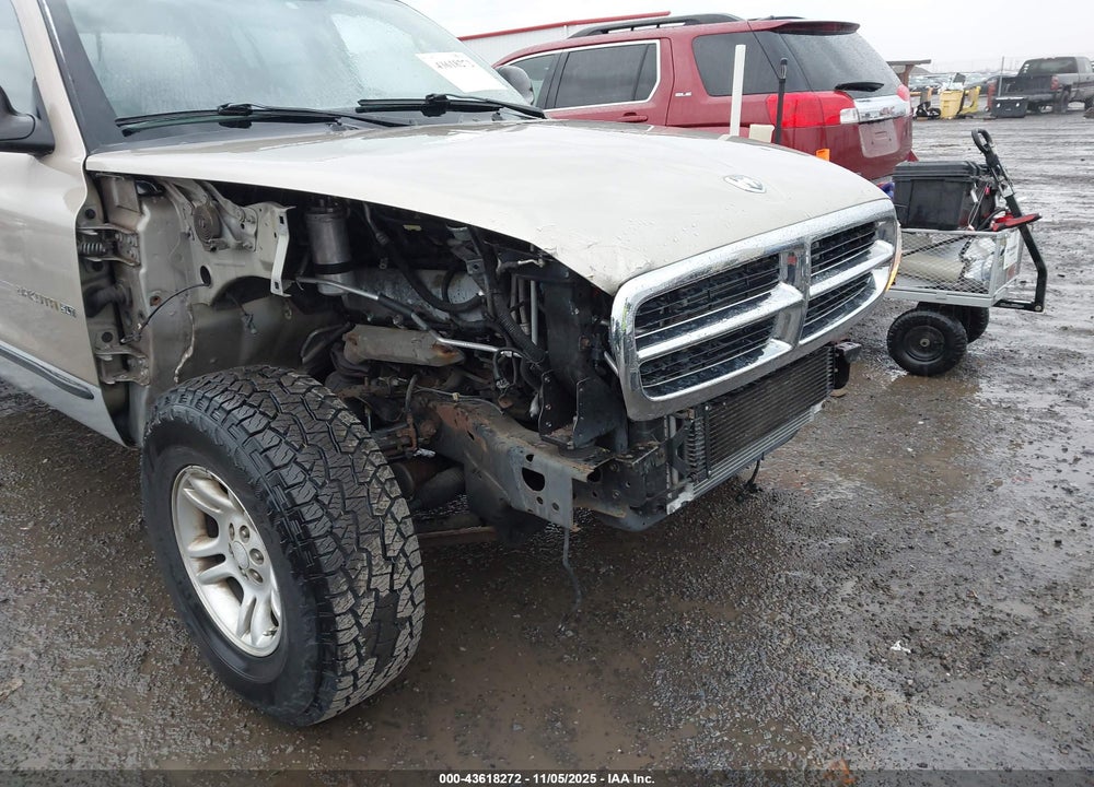 2002 DODGE DAKOTA SLT VIN: 1B7HG48N22S552578