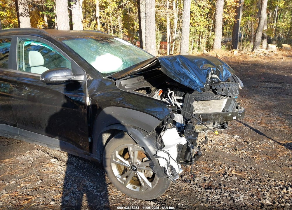 2022 HYUNDAI KONA SEL VIN: KM8K62AB4NU782317
