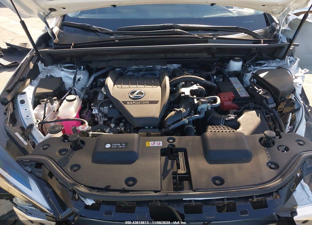 2025 LEXUS NX 350 VIN: JTJGGCEZ0S5011537