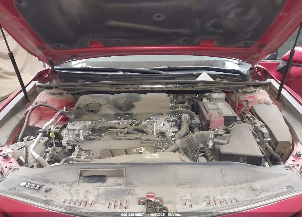 2019 TOYOTA CAMRY SE VIN: 4T1B11HK6KU245779