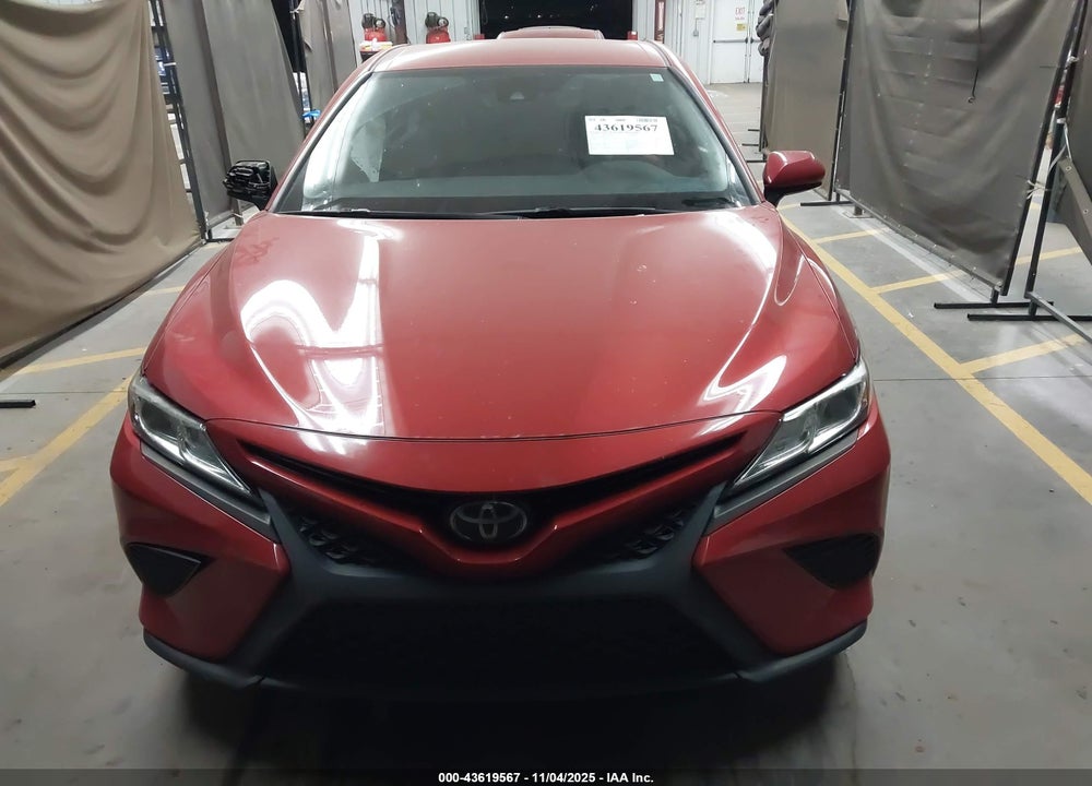 2019 TOYOTA CAMRY SE VIN: 4T1B11HK6KU245779
