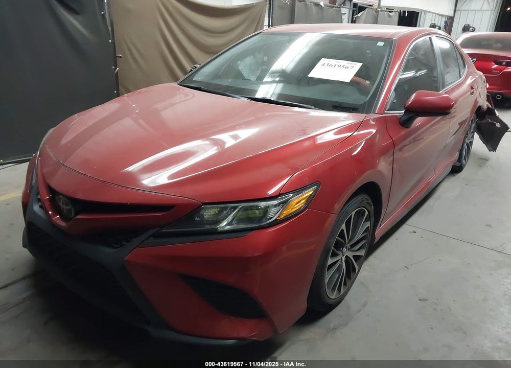2019 TOYOTA CAMRY SE VIN: 4T1B11HK6KU245779