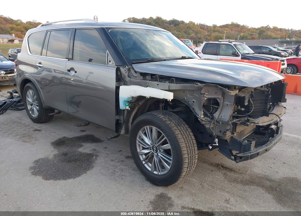 2019 INFINITI QX80 LUXE VIN: JN8AZ2NE0K9234135