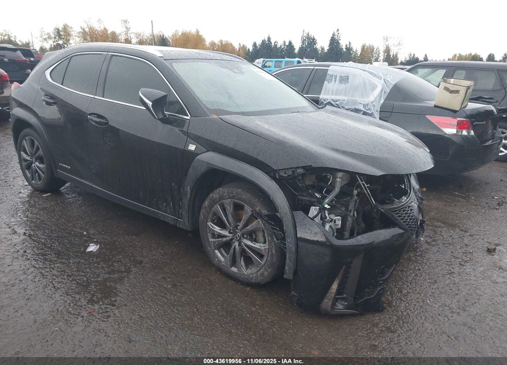2019 LEXUS UX 250H F SPORT VIN: JTHU9JBH1K2012373
