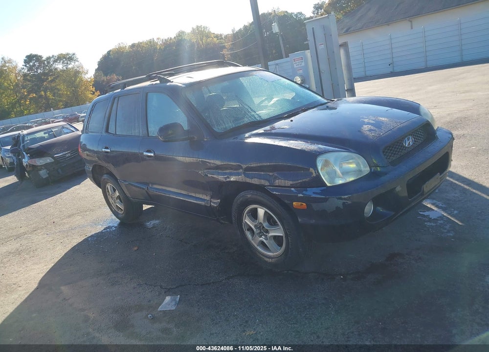 2004 HYUNDAI SANTA FE GLS/LX VIN: KM8SC13E54U641295