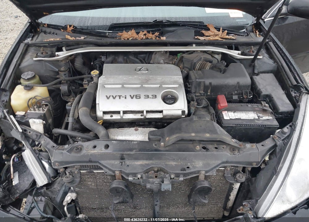 2006 LEXUS ES 330 VIN: JTHBA30G165162895