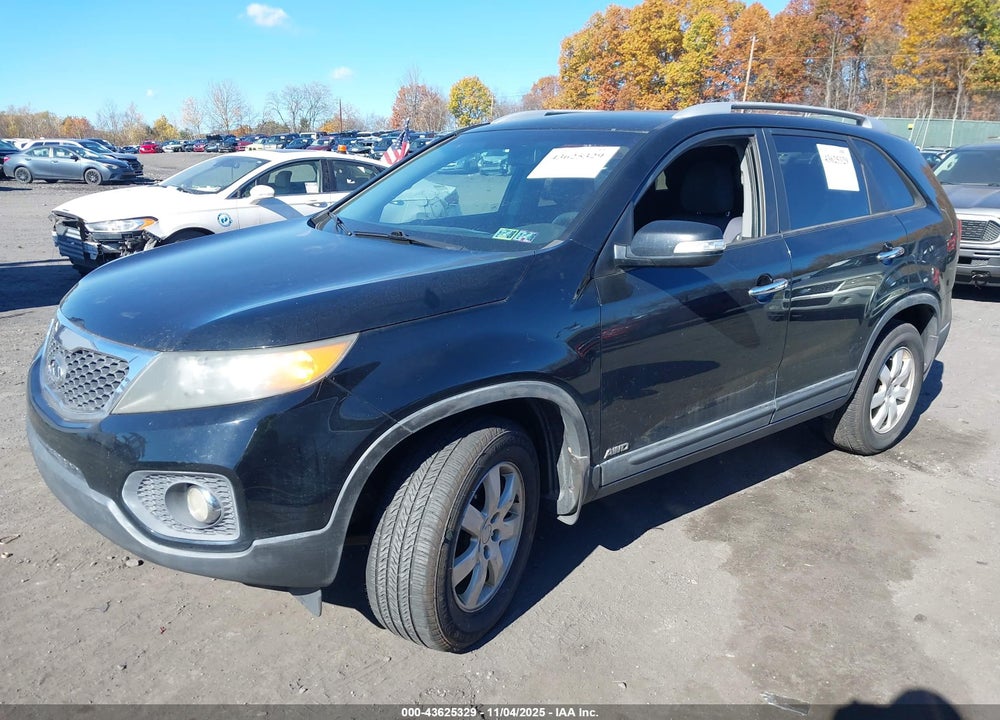 2011 KIA SORENTO LX VIN: 5XYKTCA18BG060954
