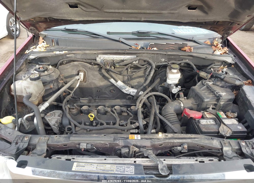 2011 FORD ESCAPE XLT AUTOMATIC VIN: 1FMCU9D75BKA95008