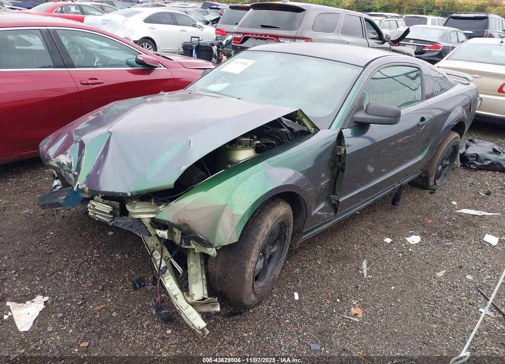 2005 FORD MUSTANG GT DELUXE/GT PREMIUM VIN: 1ZVFT82H855235739
