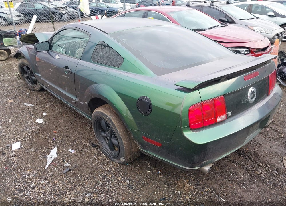 2005 FORD MUSTANG GT DELUXE/GT PREMIUM VIN: 1ZVFT82H855235739