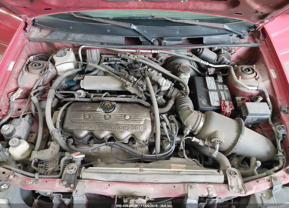 1997 FORD ESCORT LX VIN: 1FALP13P8VW267002