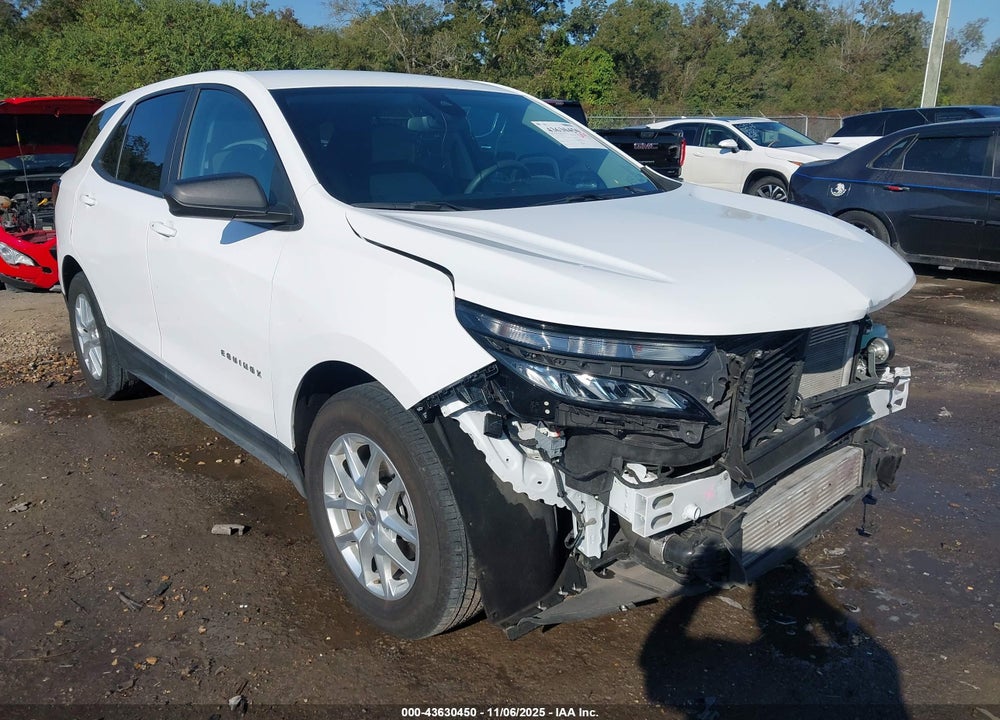 2024 CHEVROLET EQUINOX FWD LS VIN: 3GNAXHEGXRL220550