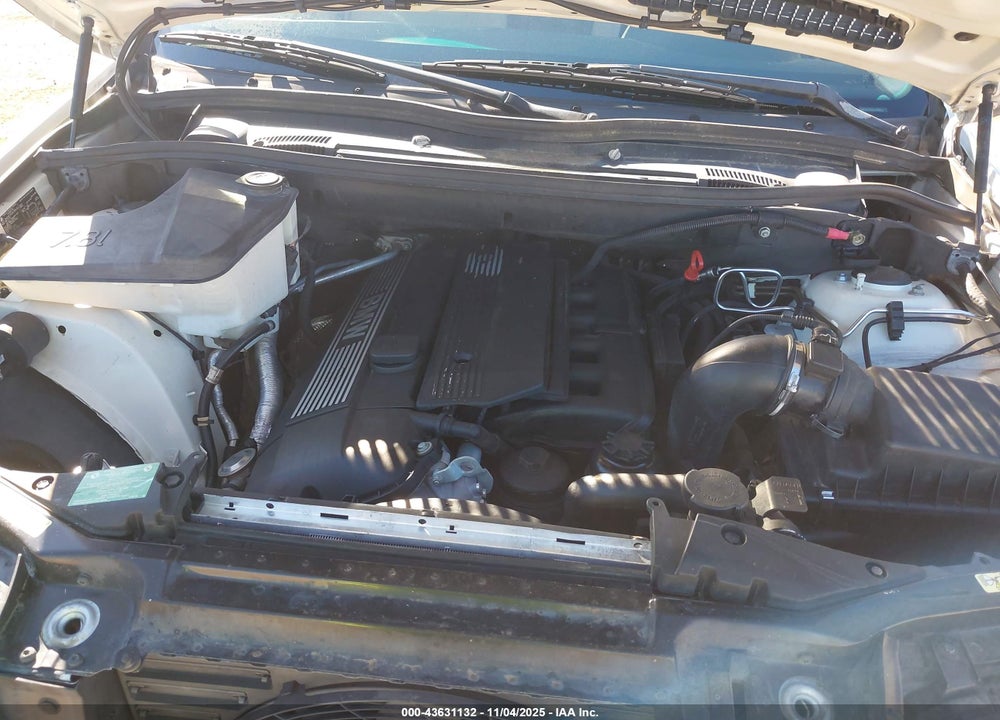 2006 BMW X5 VIN: 5UXFA13576LY43865