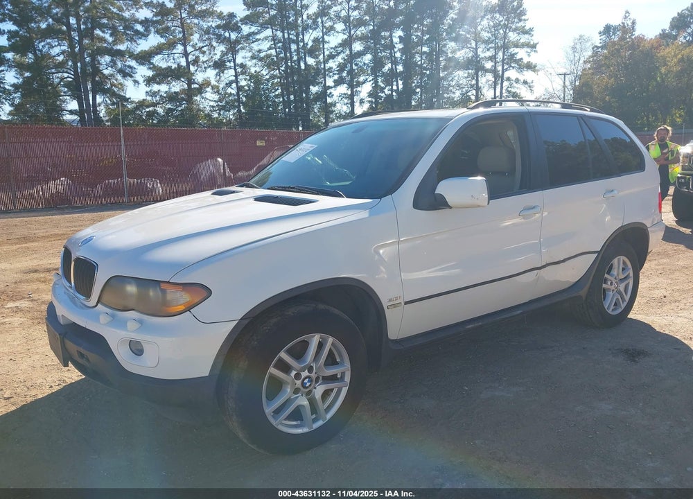 2006 BMW X5 VIN: 5UXFA13576LY43865