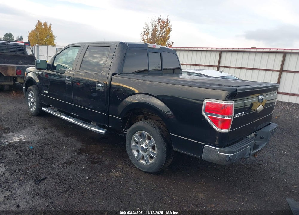 2011 FORD F-150 VIN: 1FTFW1CT6BFB13715
