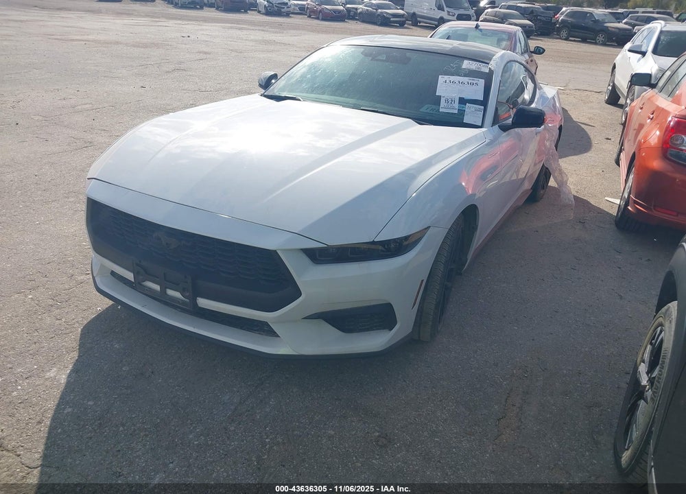 2024 FORD MUSTANG ECOBOOST FASTBACK VIN: 1FA6P8TH3R5106311