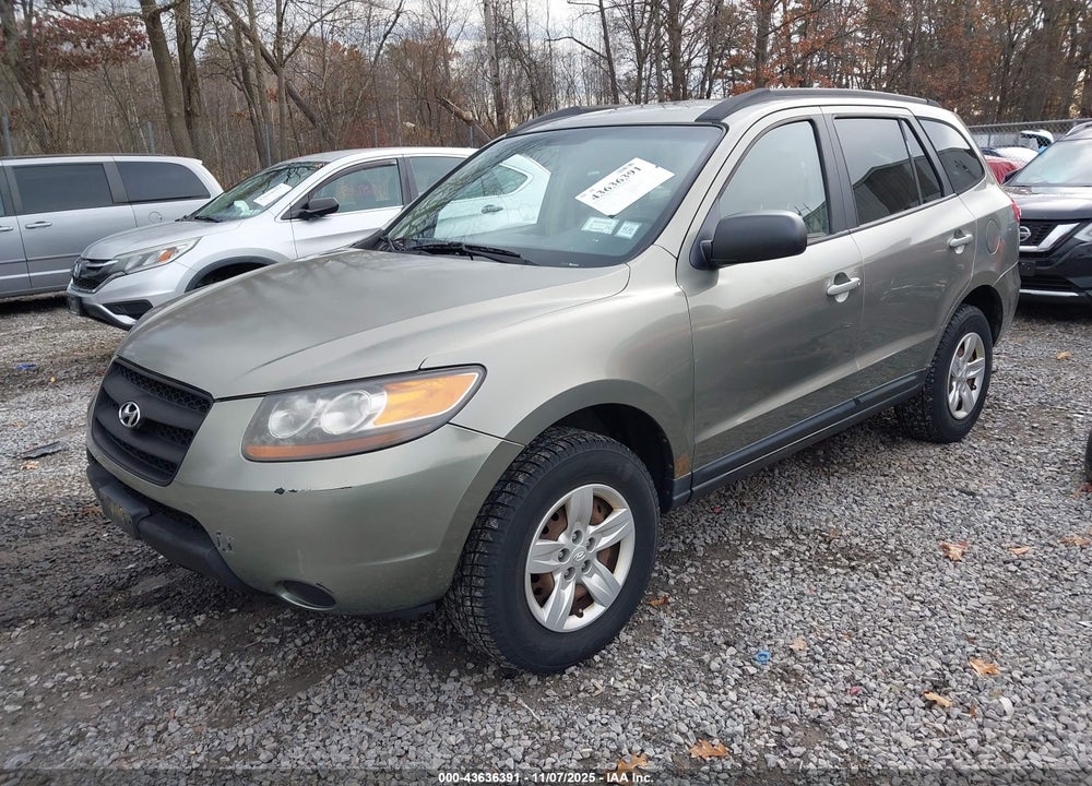 2009 HYUNDAI SANTA FE GLS VIN: 5NMSG13DX9H316348