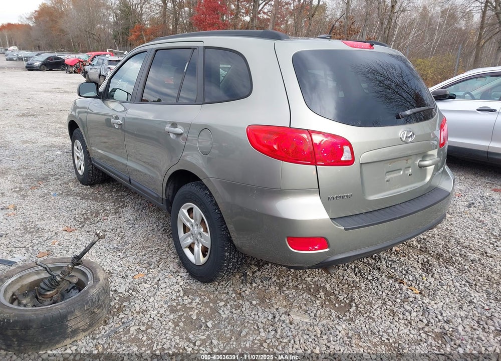 2009 HYUNDAI SANTA FE GLS VIN: 5NMSG13DX9H316348