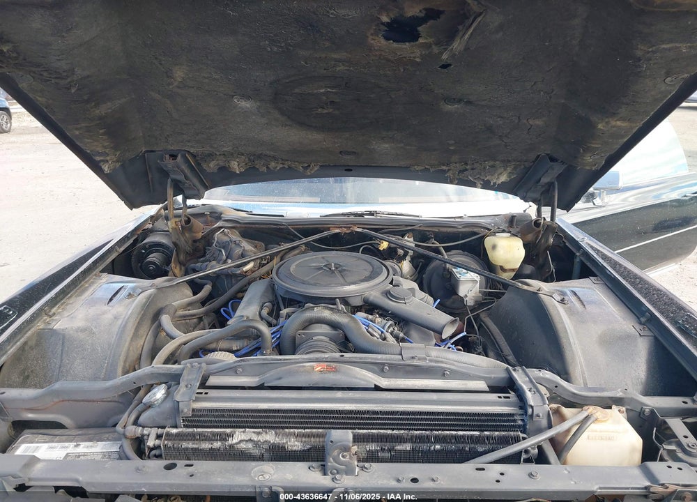 1972 CADILLAC ELDORADO VIN: 6L67S2Q419706