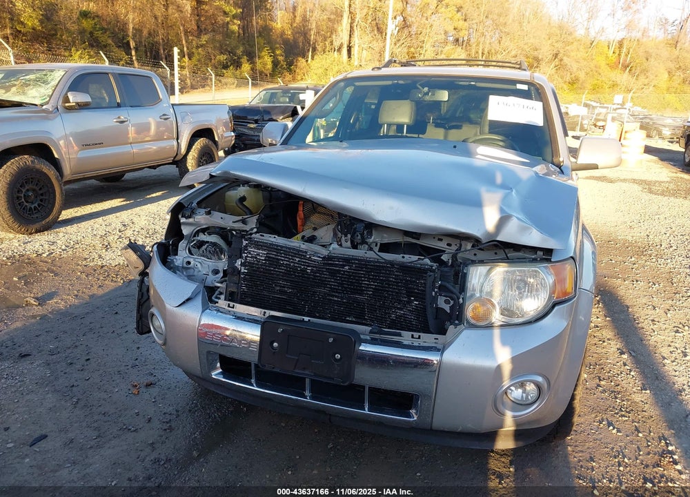 2010 FORD ESCAPE LIMITED VIN: 1FMCU9EG0AKA64262