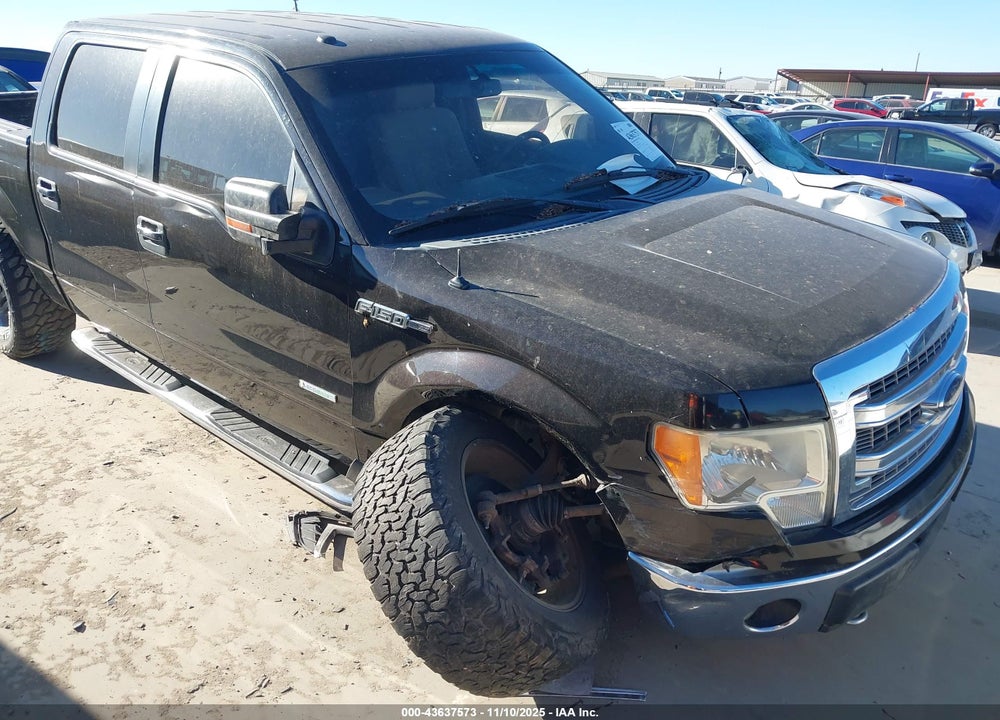 2013 FORD F-150 XLT VIN: 1FTFW1ET5DKE81519