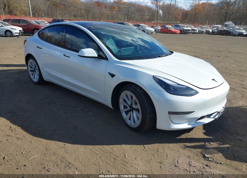 2023 TESLA MODEL 3 REAR-WHEEL DRIVE VIN: 5YJ3E1EAXPF551442