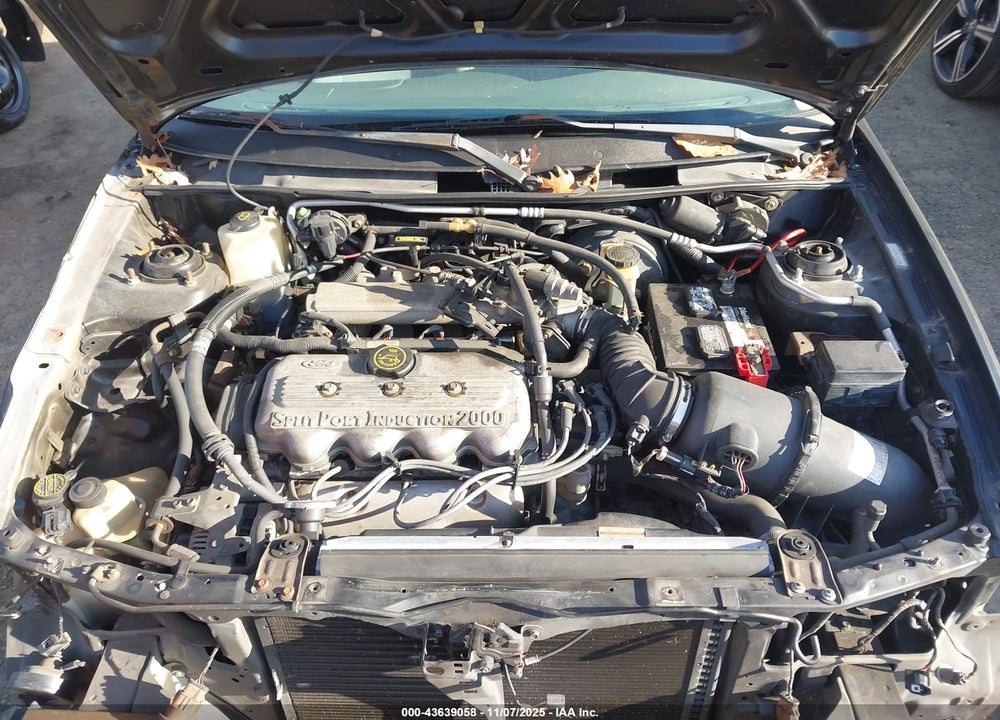 1998 FORD ESCORT SE VIN: 1FAFP13P3WW195995