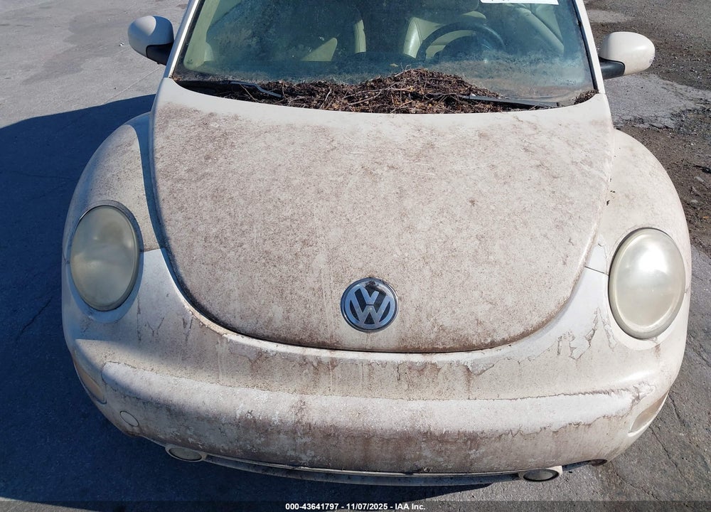 2003 VOLKSWAGEN NEW BEETLE GLS VIN: 3VWCK21Y13M301334