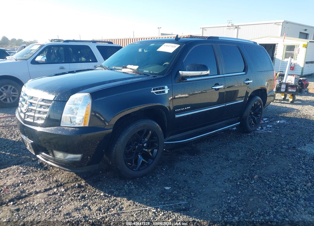 2010 CADILLAC ESCALADE LUXURY VIN: 1GYUKBEF1AR201207