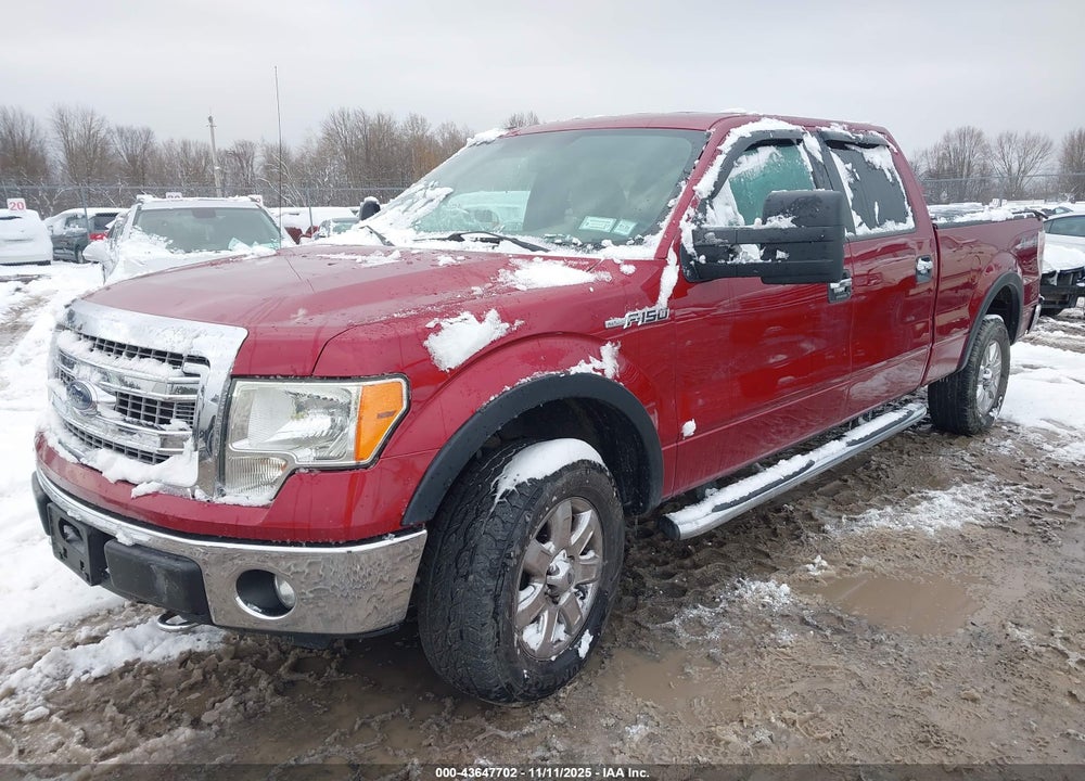2013 FORD F-150 XLT VIN: 1FTFW1EF9DFD88540
