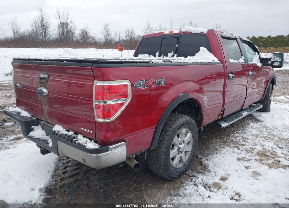 2013 FORD F-150 XLT VIN: 1FTFW1EF9DFD88540