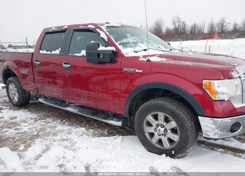 2013 FORD F-150 XLT VIN: 1FTFW1EF9DFD88540