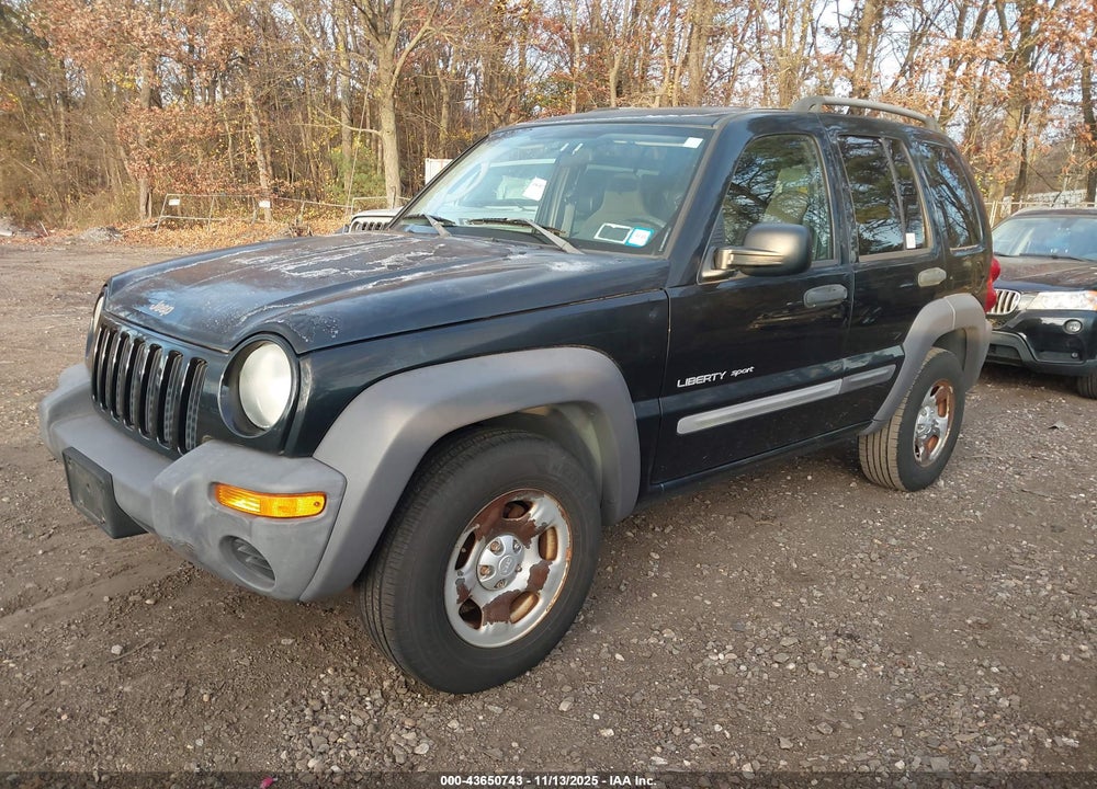 2003 JEEP LIBERTY SPORT VIN: 1J4GL48K33W616824