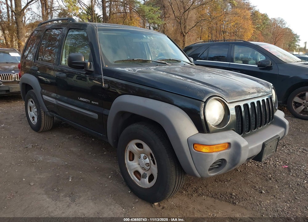 2003 JEEP LIBERTY SPORT VIN: 1J4GL48K33W616824