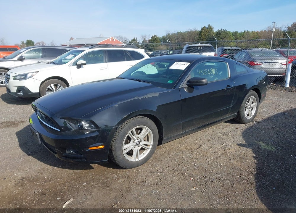 2014 FORD MUSTANG VIN: 1ZVBP8AM8E5212236