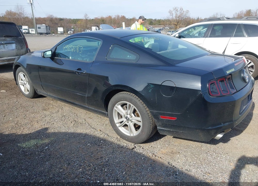 2014 FORD MUSTANG VIN: 1ZVBP8AM8E5212236