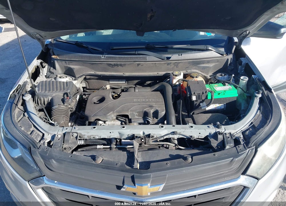 2018 CHEVROLET EQUINOX LS VIN: 2GNAXHEVXJ6195902