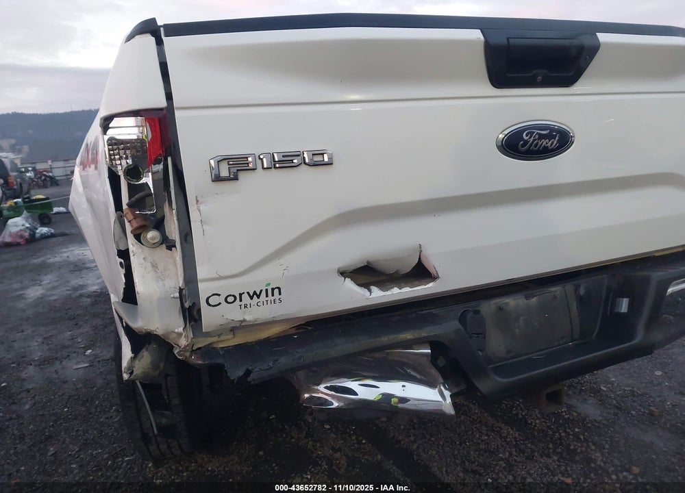 2016 FORD F-150 VIN: 1FTEW1EG7GFA19295