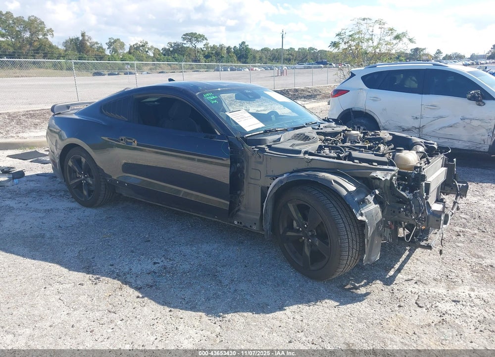 2023 FORD MUSTANG ECOBOOST FASTBACK VIN: 1FA6P8THXP5105024