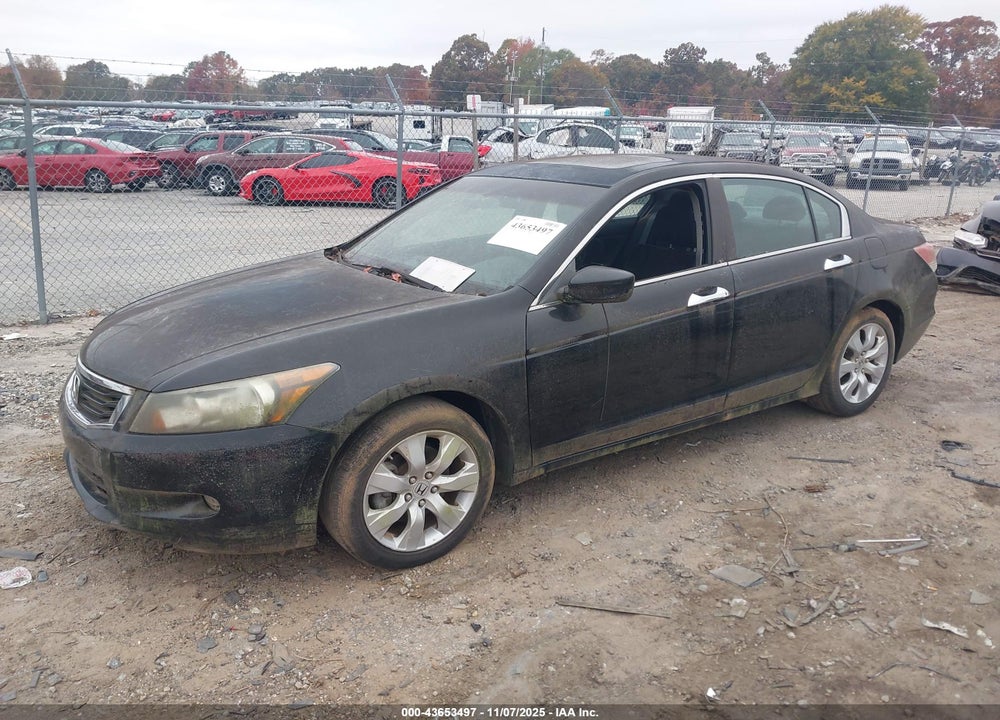 2009 HONDA ACCORD VIN: 1HGCP36779A028210