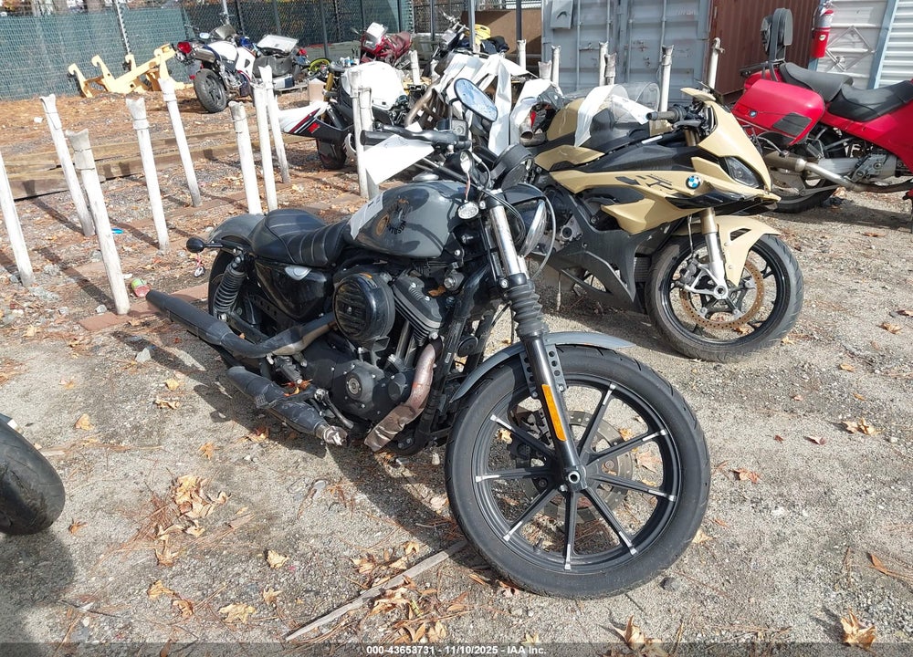 2022 HARLEY-DAVIDSON XL883 N VIN: 1HD4LE219NB410978