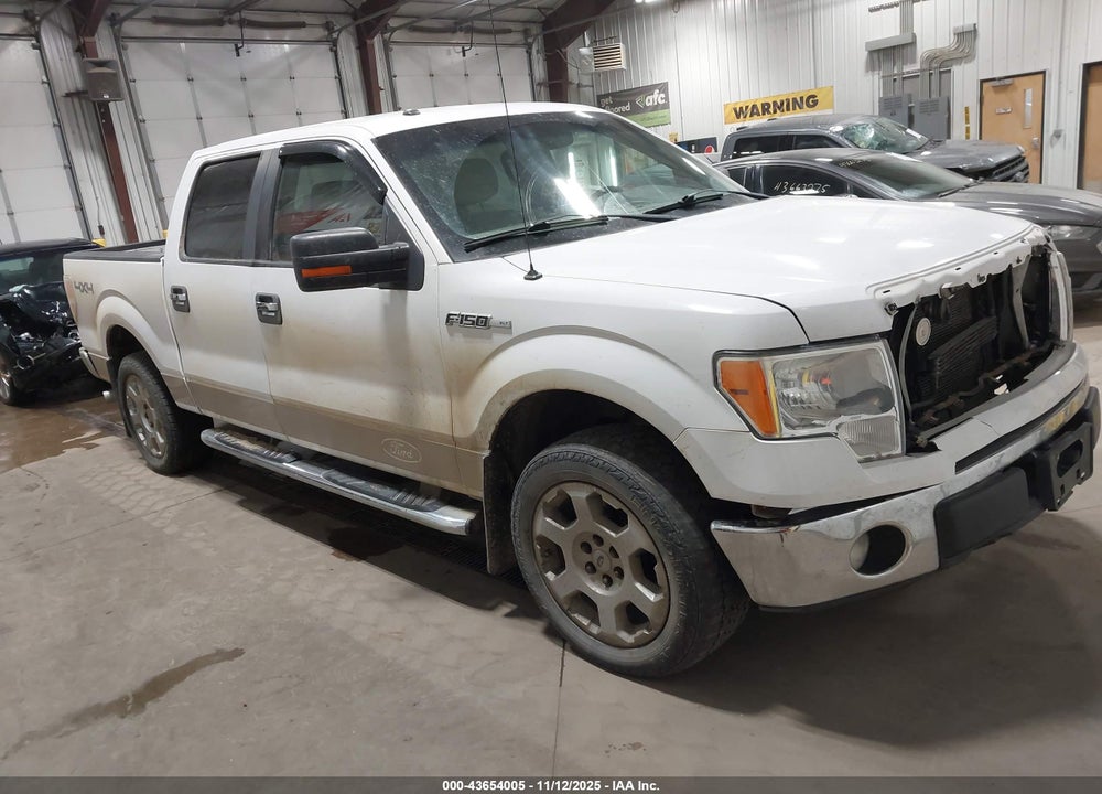 2011 FORD F-150 XLT VIN: 1FTFW1EF2BFB25206