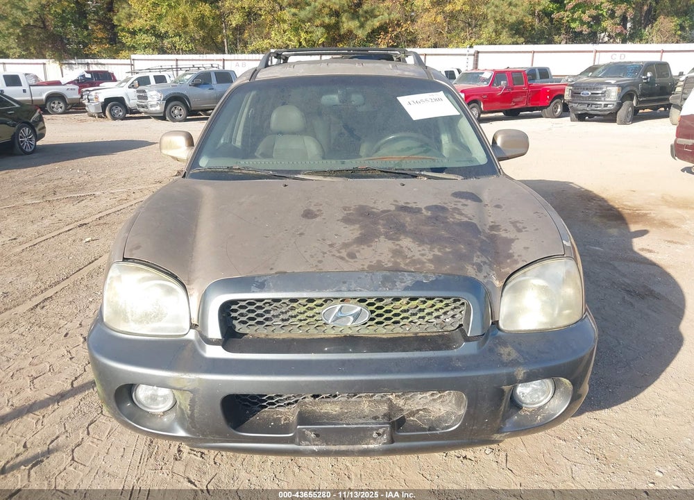 2004 HYUNDAI SANTA FE GLS/LX VIN: KM8SC73E24U738263