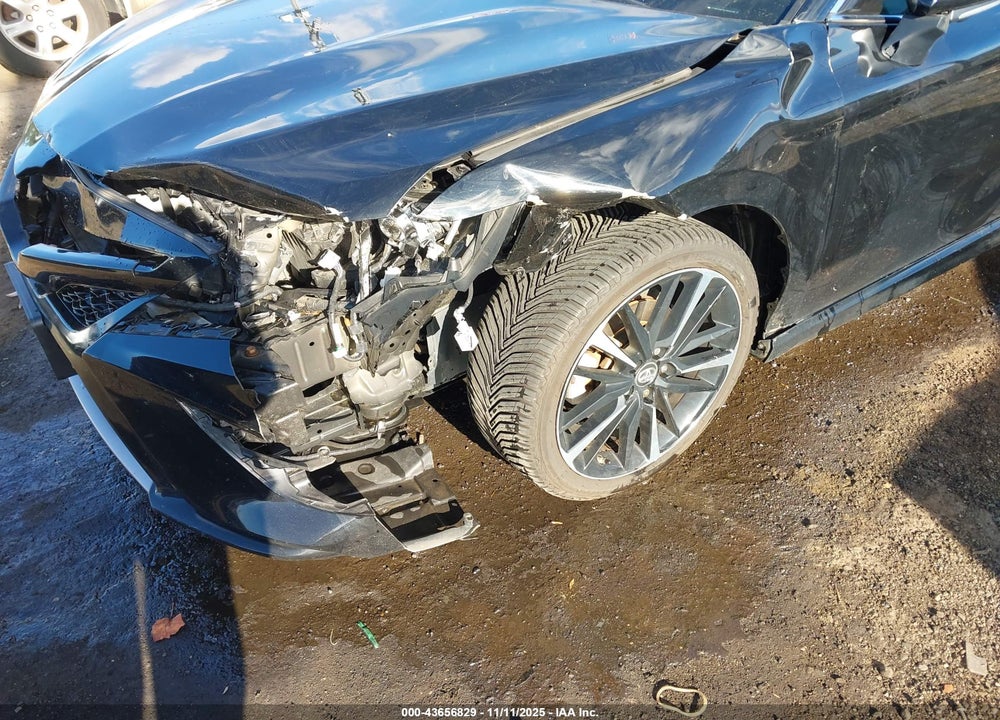2019 TOYOTA CAMRY XSE V6 VIN: 4T1BZ1HK7KU509035